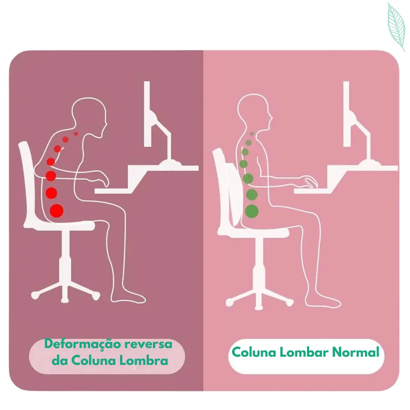 Almofada e Apoio Lombar Ortopédica